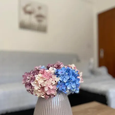 Apartament Chrisa's *